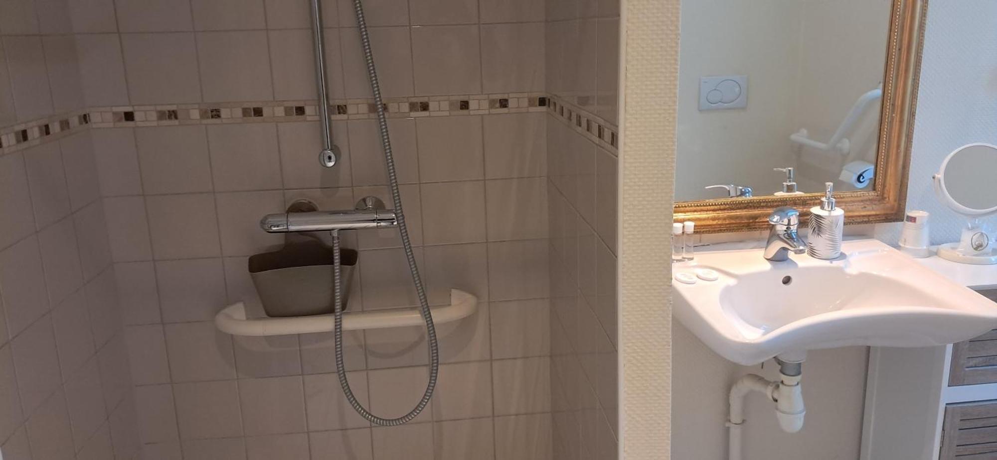 Chambres D'Hotes Chateau De Damigny Saint-Martin-des-Entrées Екстериор снимка